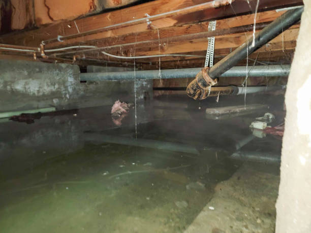 Best Commercial water damage restoration  in Atlantic Highlands, NJ