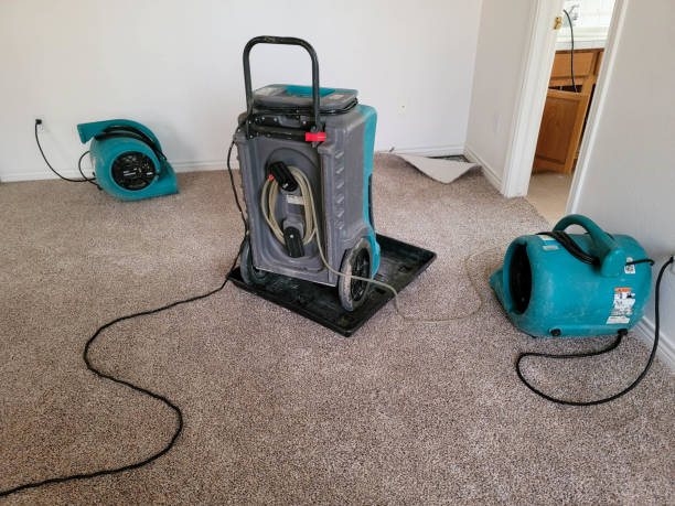 Best Flood restoration services  in Atlantic Highlands, NJ