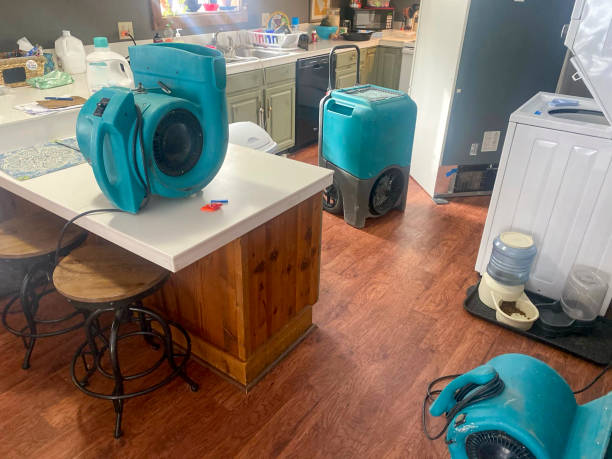 Best Mold removal after water damage  in Atlantic Highlands, NJ