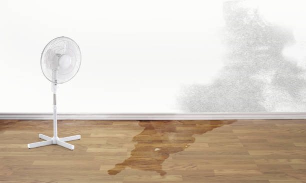 Local water damage restoration in Atlantic Highlands, NJ