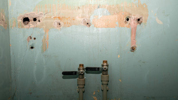 Best Flooded house restoration  in Atlantic Highlands, NJ